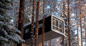 treehouses