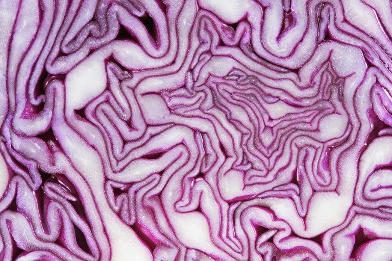 DIY Probiotics – 4 Cheap and Easy Alternatives