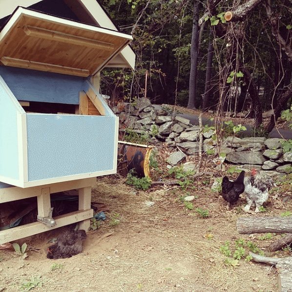 cutest chicken house you have ever seen 8