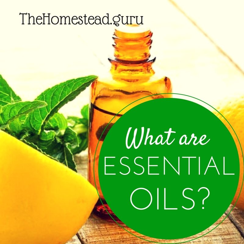 what-are-essential-oils-1