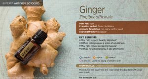 ginger esential oil doterra