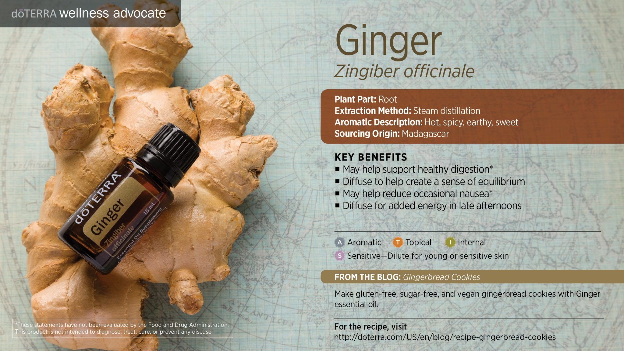 ginger esential oil doterra