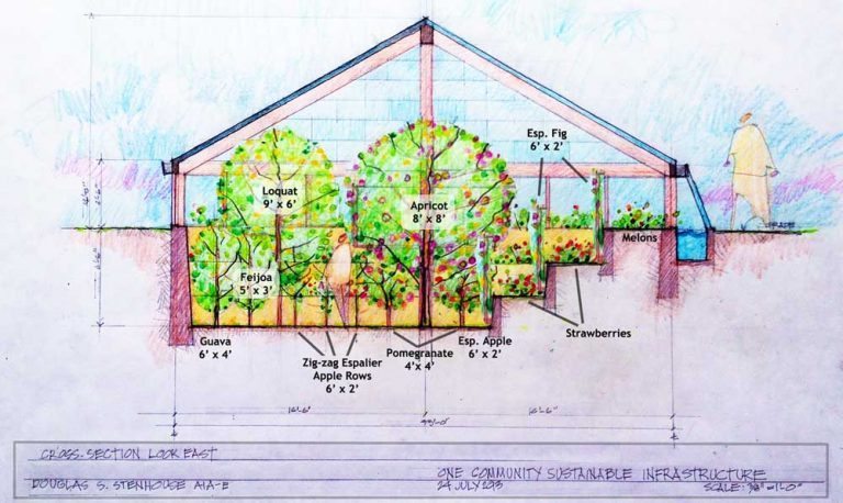 Grow Food Year Round in a $300 Underground Greenhouse