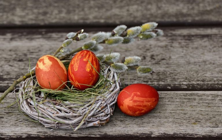 Learn How To Dye Easter Eggs with Fruits & Vegetables! -Chemical Free-