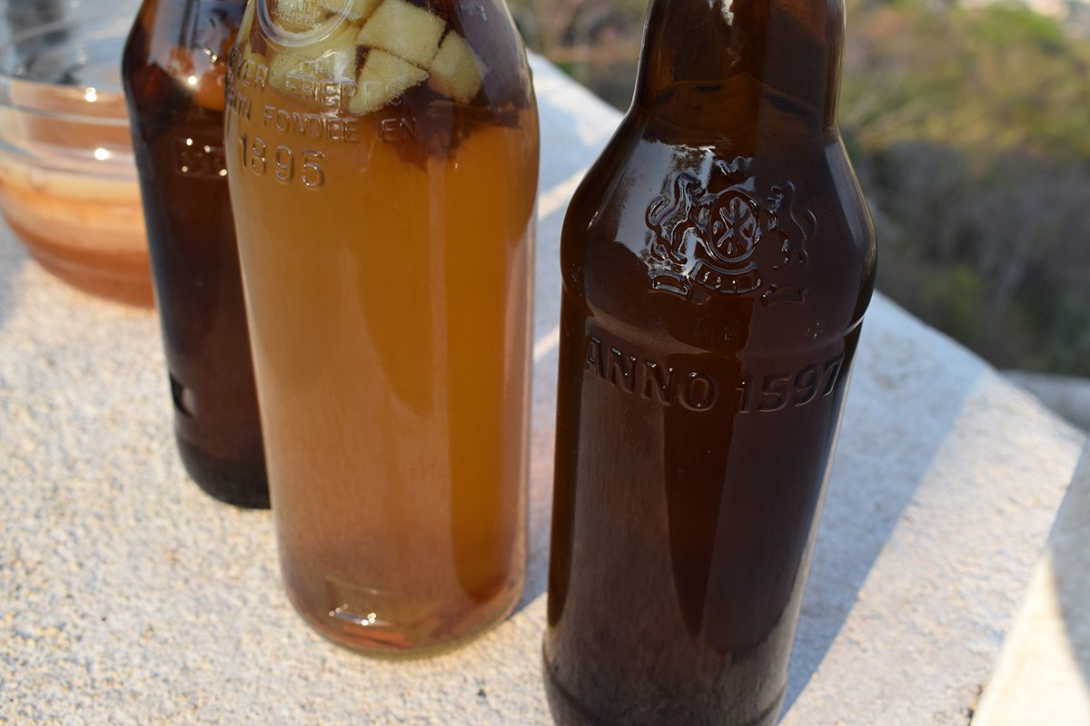 Kombucha Chronicles Part 8: How to Use Extra Kombucha SCOBY’s & Vinegar Kombucha Chronicles Part 8: How to Use Extra Kombucha SCOBY’s & Vinegar