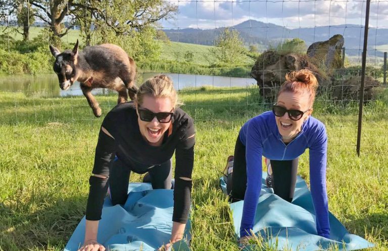 Unwarranted Legal Action: Goat Yoga Ruled A Zoning Violation By City Officials