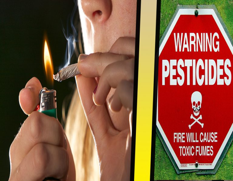 Pesticides & Monsanto In the Cannabis Industry Are Leaving Users At Risk