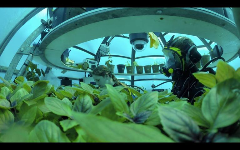 Vegetables Grown On The Ocean Floor at Nemo’s Garden! (Video)