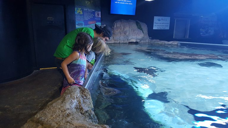 Austin Aquarium Supports Homeschoolers!