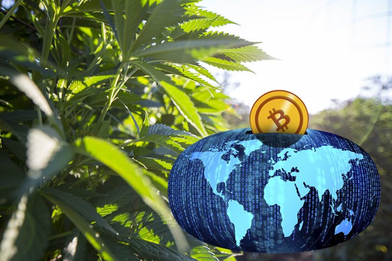 The Bitcoin Blockchain Is a Cannabis Grower’s Way To Identify and Patent Their Strains