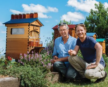 Flow Hive 2 Crowdfunding Campaign Hits $1 MILLION Flow Hive 2 Crowdfunding Campaign Hits $1 MILLION