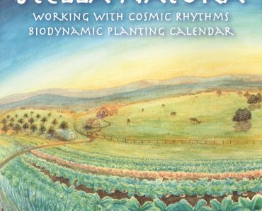 Gardening by the Constellations? Learn about Biodynamic Farming and Planting! Gardening by the Constellations? Learn about Biodynamic Farming and Planting!
