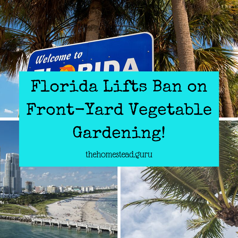 Florida Lifts Ban