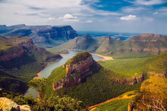 ethiopia plants trees