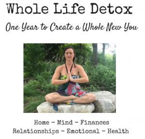 whole life detox with catherine bleish bonandin